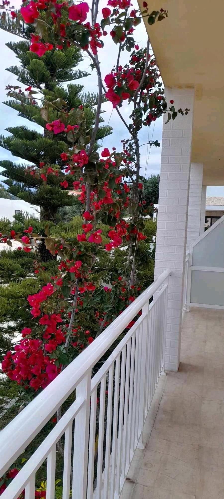Angelos Apartment's Αρίλλας