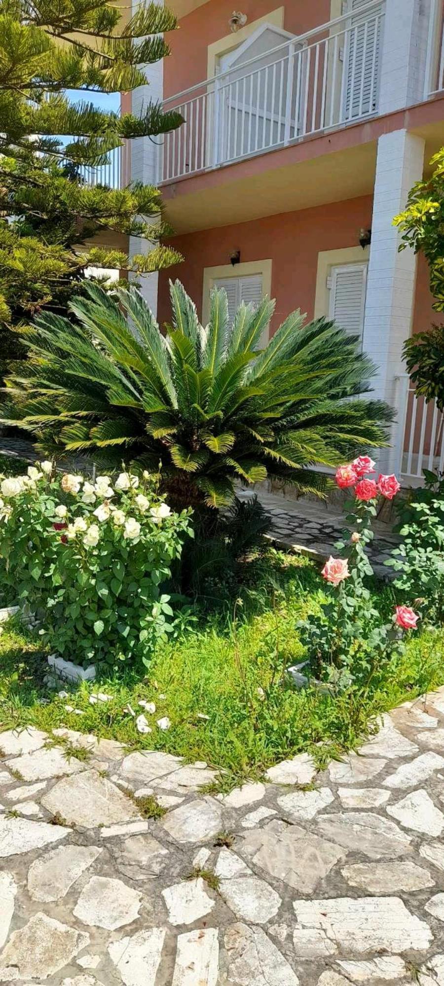 Διαμέρισμα Angelos Apartment's